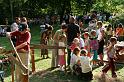 jarmark2008 237